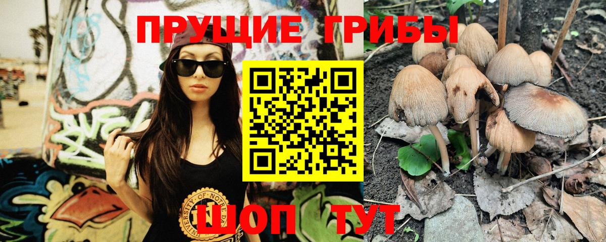 Псилоцибиновые грибы GOLDEN TEACHER Кудымкар
