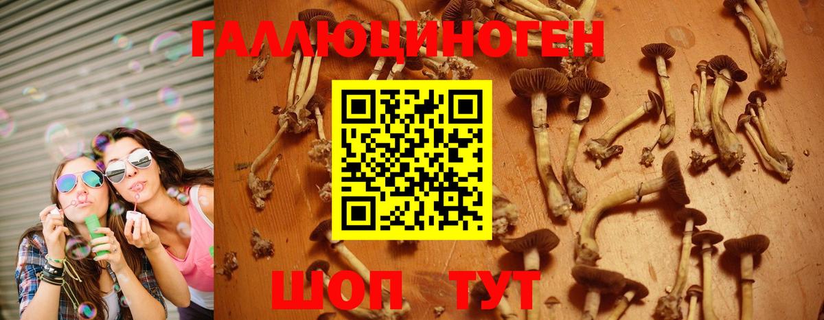 Псилоцибиновые грибы MAGIC MUSHROOMS  Псилоцибиновые грибы мицелий  Кудымкар  Вход с VPN 